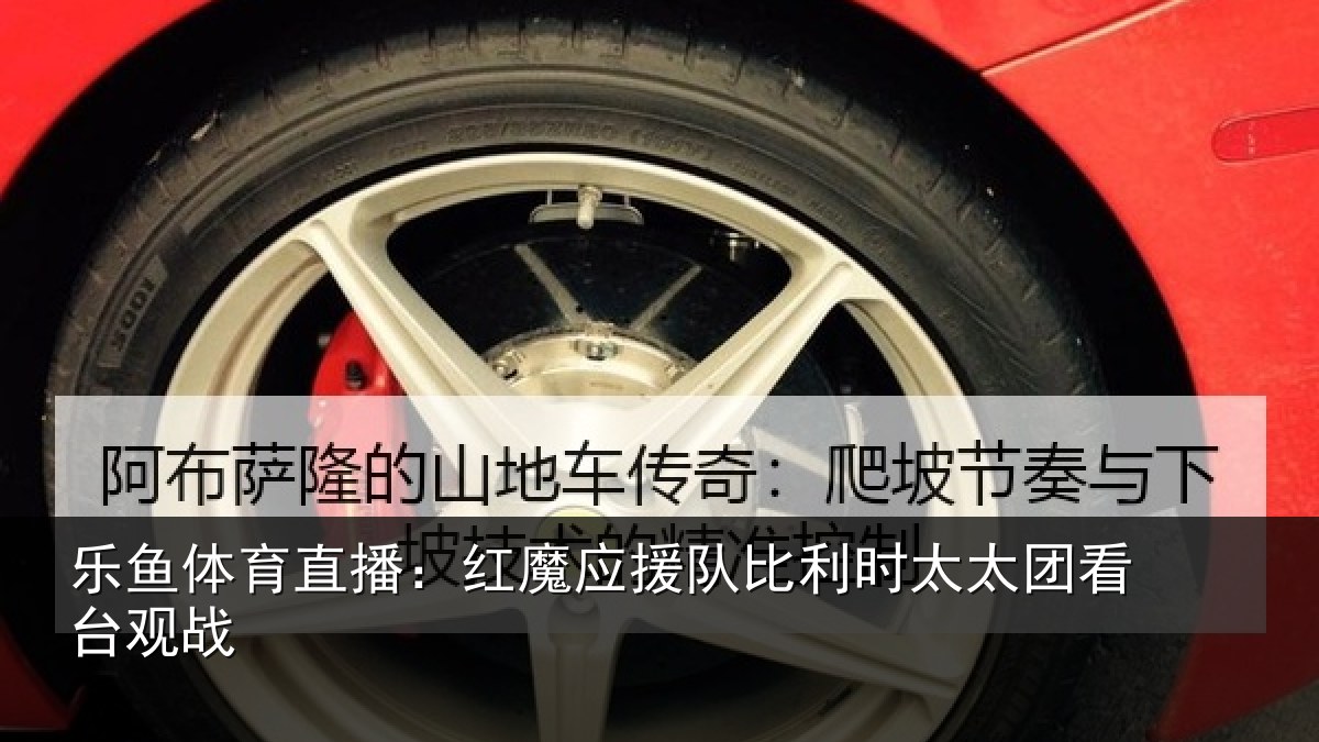 乐鱼体育直播：红魔应援队比利相关情况