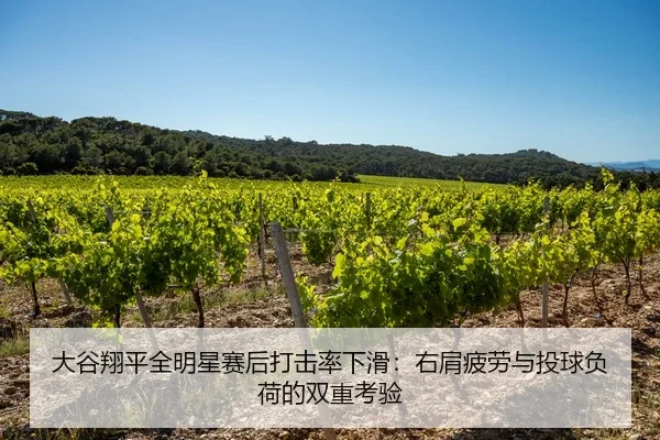 大谷翔平全明星赛后打击率下滑：右肩疲劳与投球负荷的双重考验