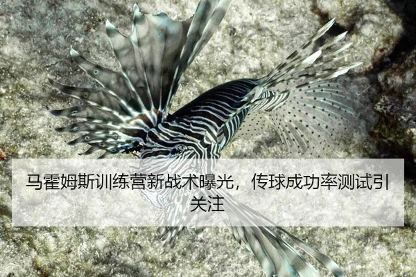 ma-huo-mu-si-xun-lian-ying-xin-zhan-shu-bao-guang-chuan-qiu-cheng-gong-lv-ce-shi-yin-guan-zhu-3-817.jpg