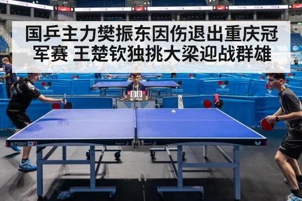 table tennis competition