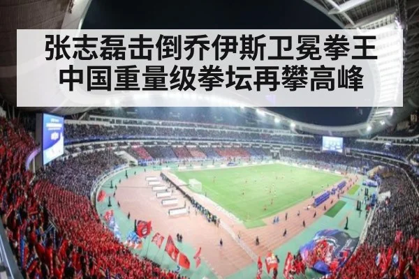 张志磊击倒乔伊斯卫冕拳王中国重量级拳坛再攀高峰